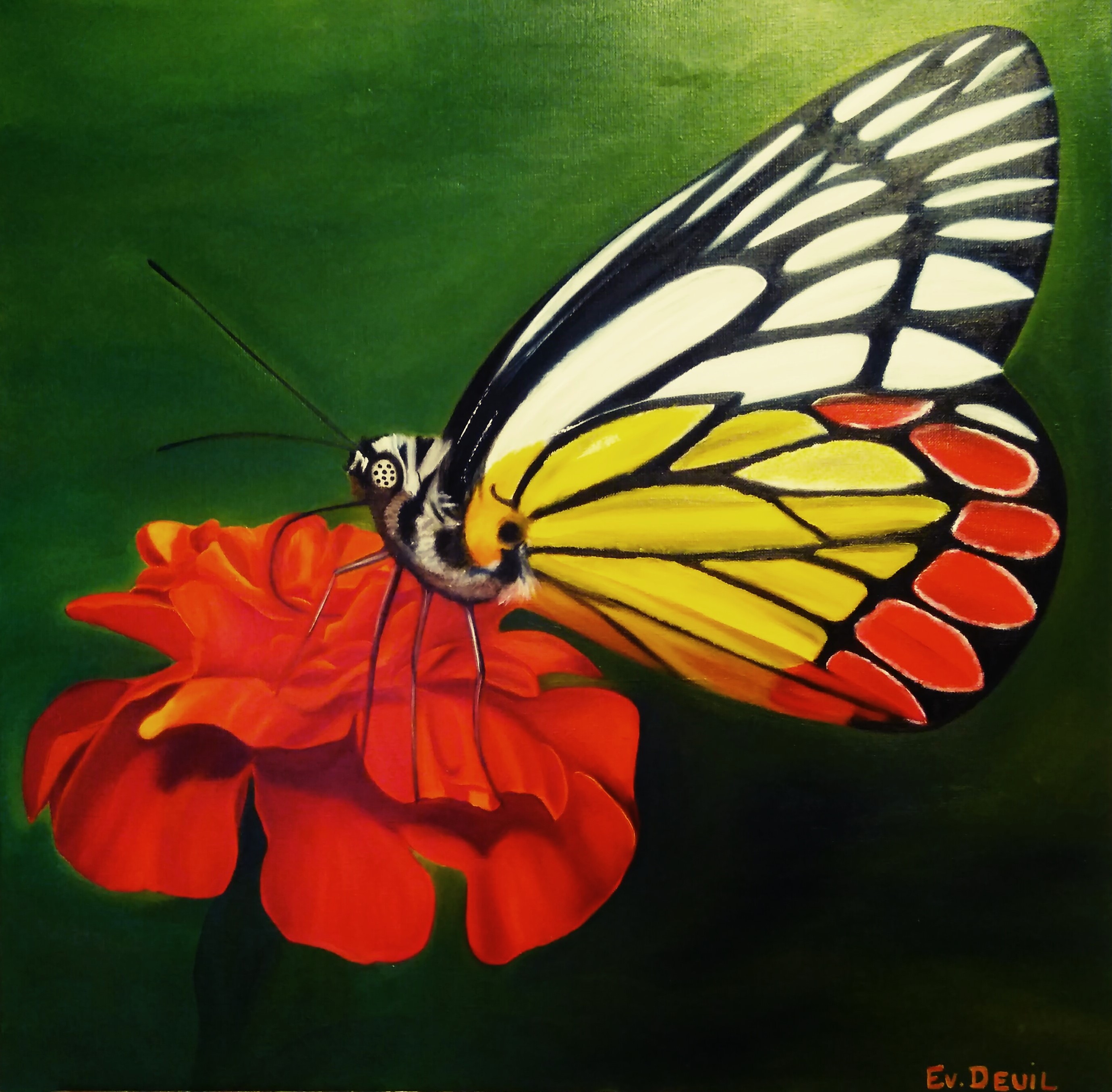 papillons