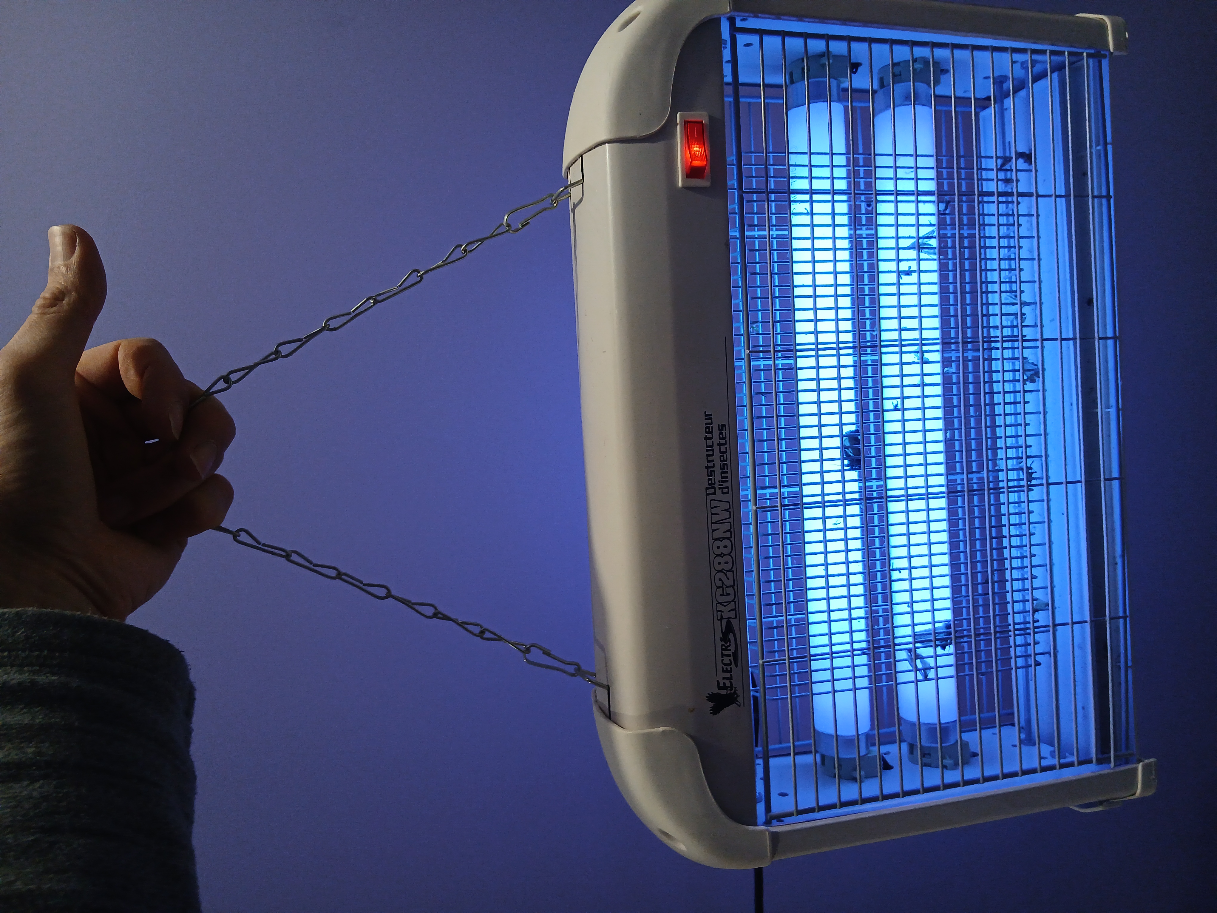 Destructeur insectes